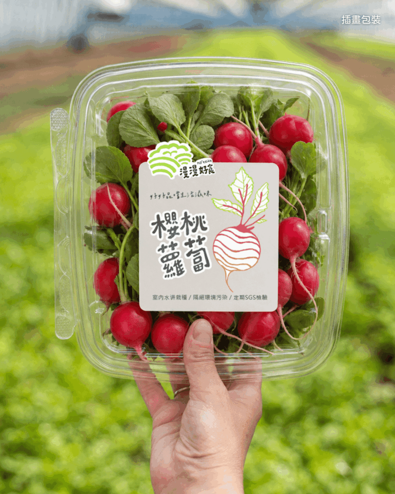 水耕蔬菜插畫包裝